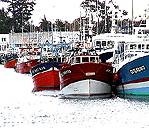 loctudy - port de peche
